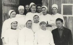 Hamitova koll