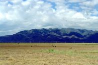 Алакольский природный заповедник