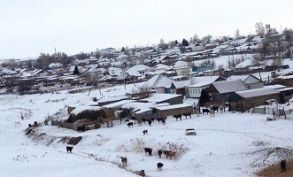 Село Куйган на берегу Бухтарминского водохранилища
