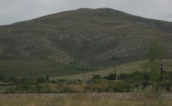 serdsevina